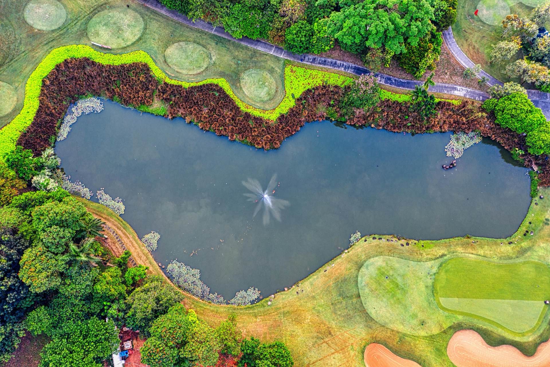 Black Hat Golf - Premium Golf Experience in Thailand